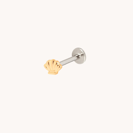 Concha Titanio Pendiente Piercing en Oro