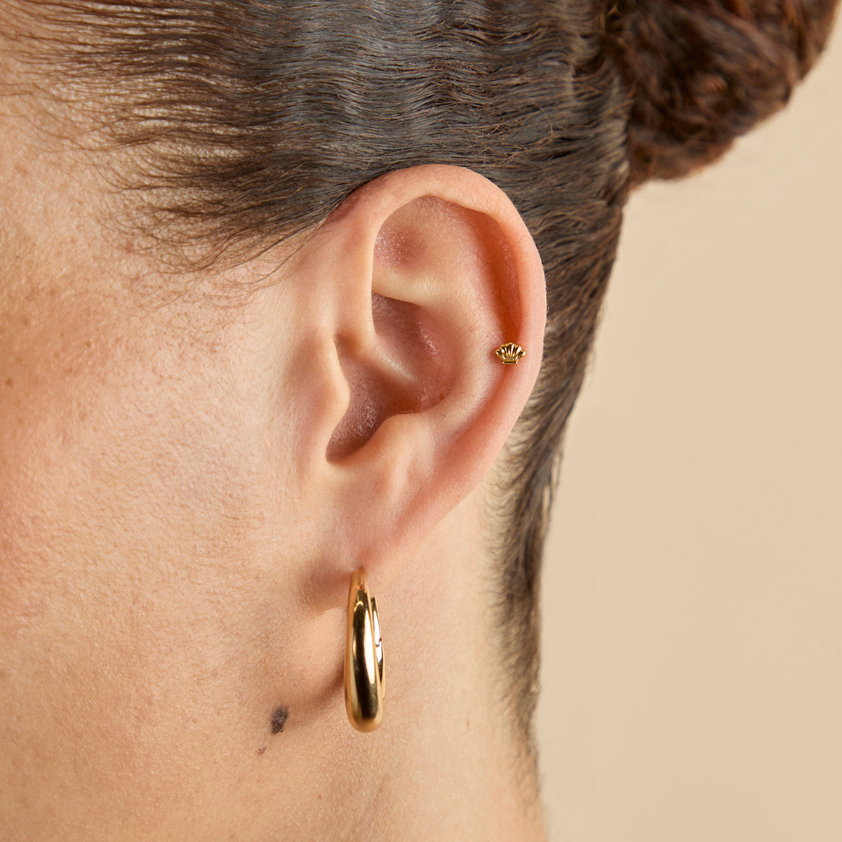 Concha Titanio Pendiente Piercing en Oro