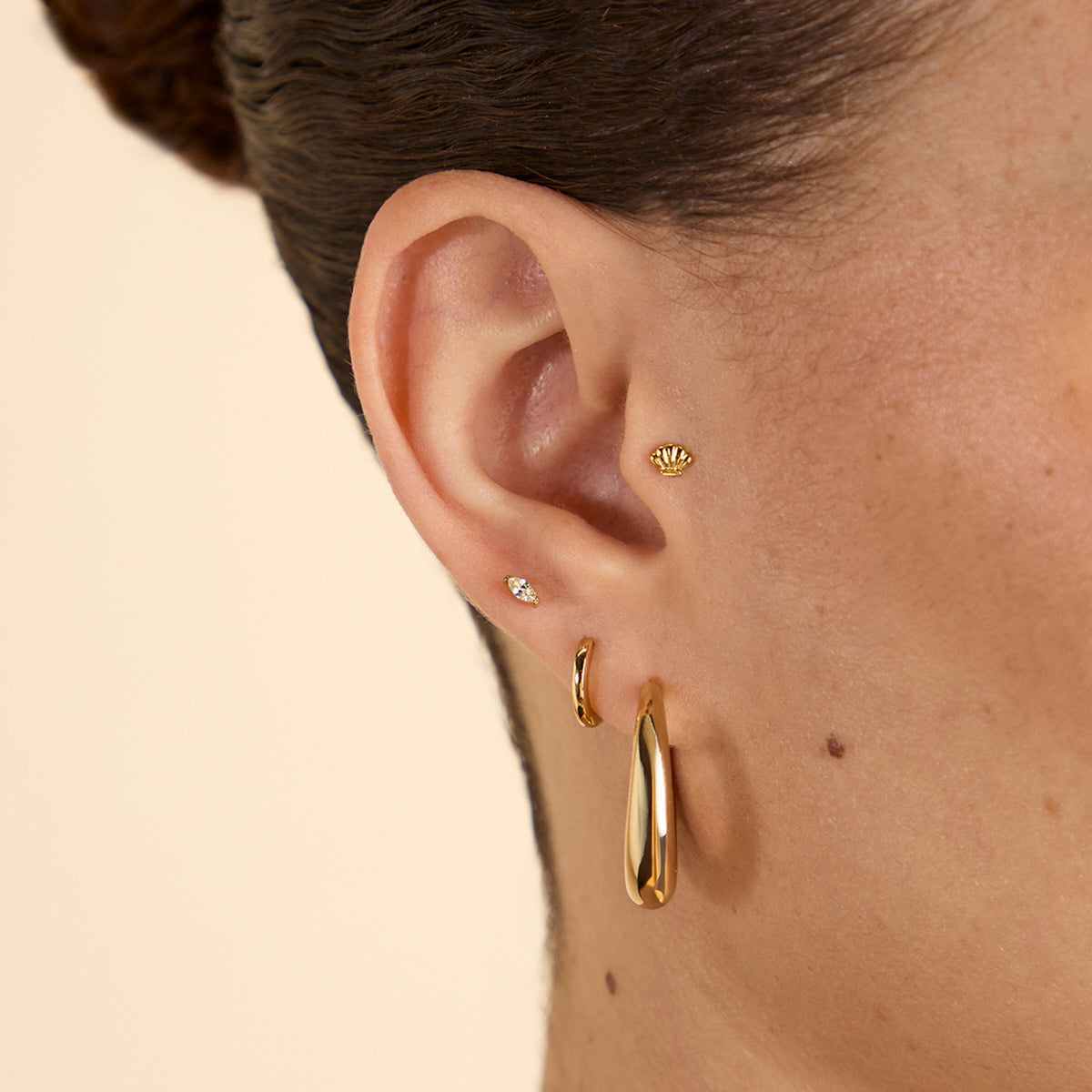 Concha Titanio Pendiente Piercing en Oro